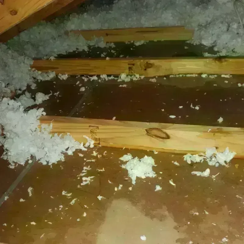 Attic Water Damage in Berwick, LA